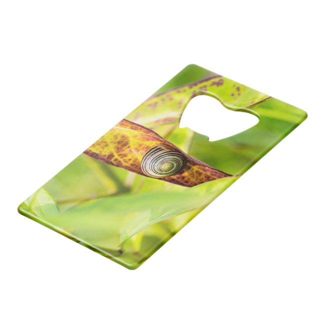 calm attachment credit card bottle opener (Front Angled)
