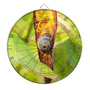 calm attachment dartboard