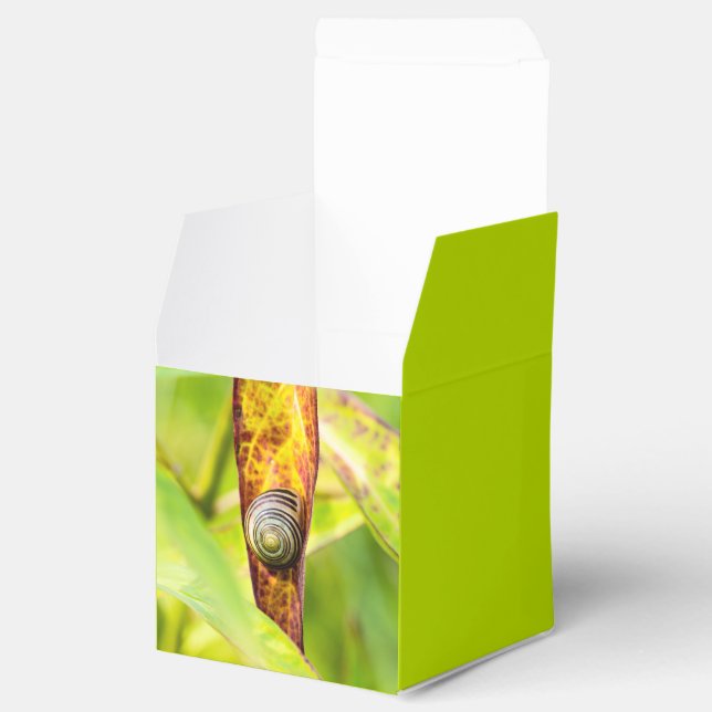 calm attachment favor box (Opened)