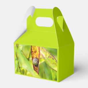 calm attachment favor box