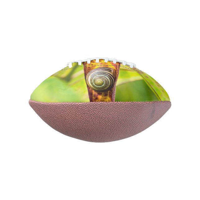 calm attachment football (Rotated 90)
