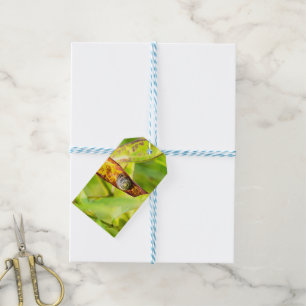calm attachment gift tags