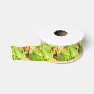 calm attachment grosgrain ribbon
