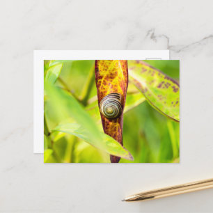 calm attachment holiday postcard