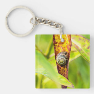 calm attachment keychain