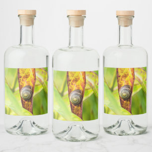 calm attachment liquor bottle label