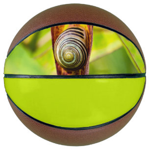 calm attachment mini basketball