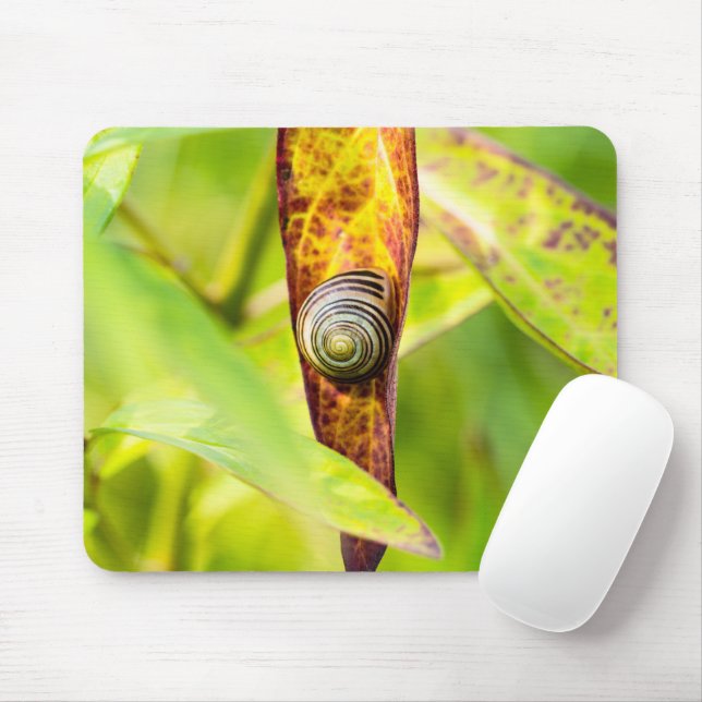 calm attachment mouse pad (With Mouse)