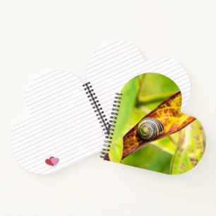 calm attachment notebook