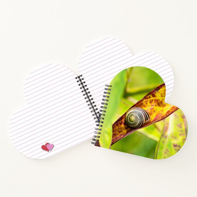 calm attachment notebook (Inside)