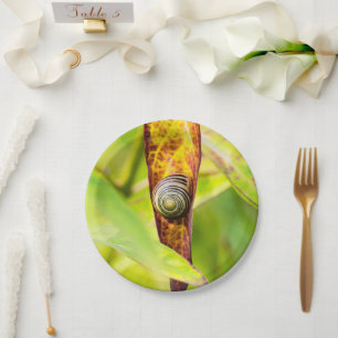 calm attachment paper plate