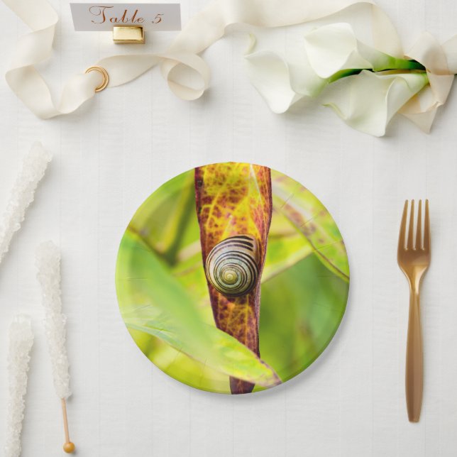 calm attachment paper plate (Wedding)