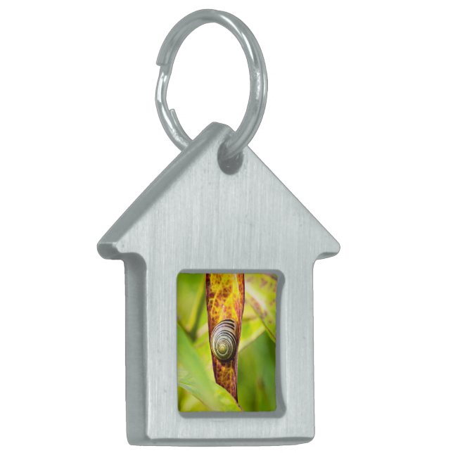 calm attachment pet ID tag (Front Left)
