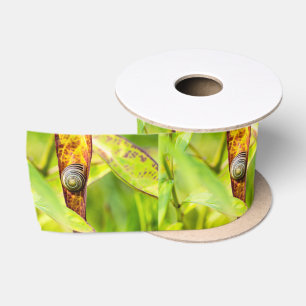 calm attachment satin ribbon