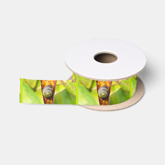calm attachment satin ribbon