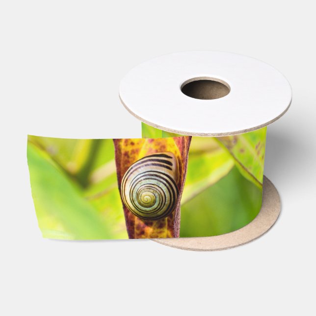 calm attachment satin ribbon (Spool)