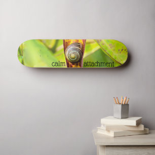 calm attachment skateboard