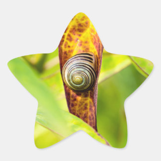 calm attachment star sticker