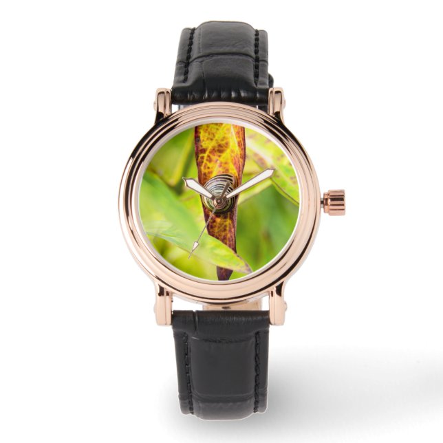 calm attachment watch (Front)