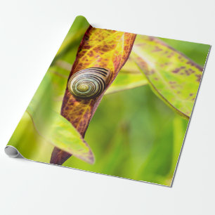calm attachment wrapping paper