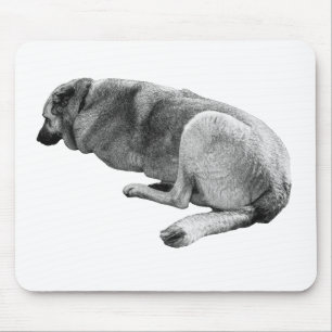 Calm Beneath the Day Mouse Pad