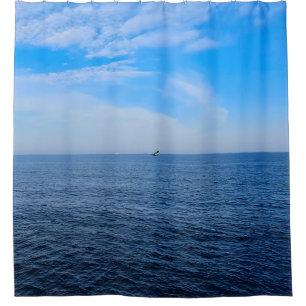 Calm Black Sea Romania – Seagulls Blue Sky Print