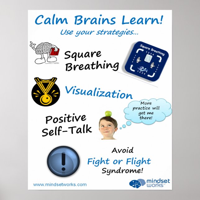 Calm Brains Learn poster for Brainology® (Front)
