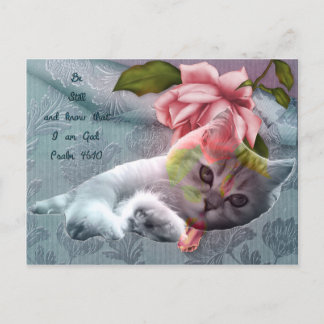 Calm cat comfort scripture postcard