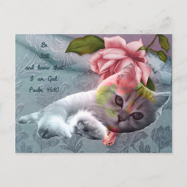 Calm cat comfort scripture postcard (Front)