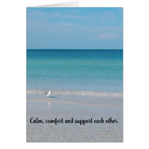 "Calm, Comfort"