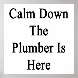 Calm Down The Plumber Is Here Poster