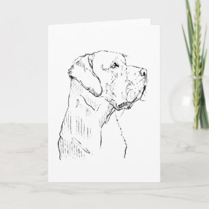 Calm Labrador Retriever Greeting card