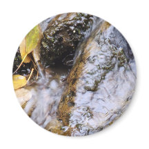 Calm Mountain Stream with Autumn Leaves