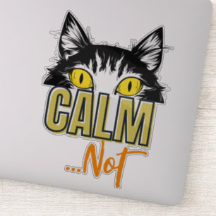 Calm...Not. The many moods of the cat