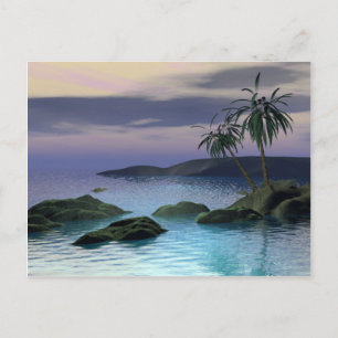 Calm Palms Postcard
