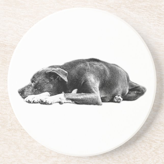Calm Pitbull Mix Lying Pose Art Coaster (Front)