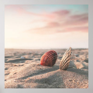 Calm Sand Beach Sea Shell Ocean Photography Poster