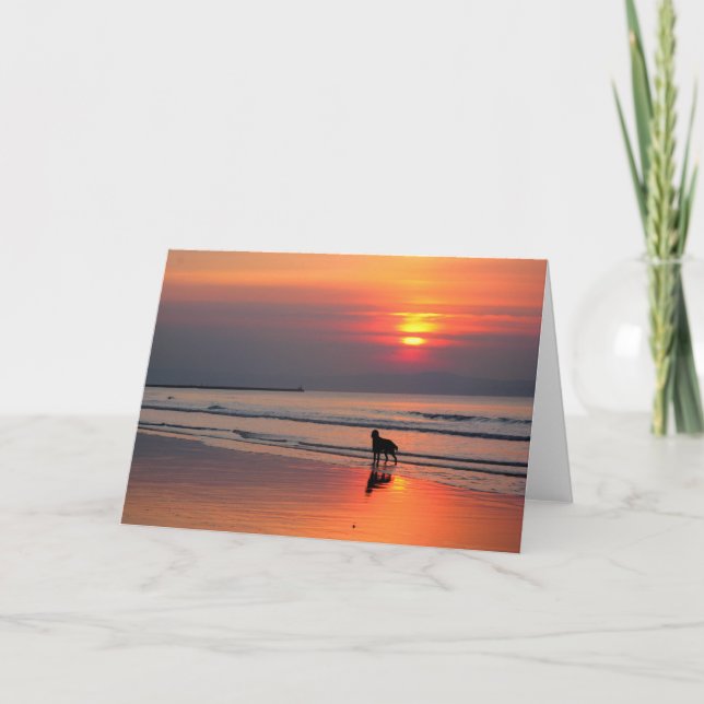 Calm Seas & Sunset - Scripture Greeting Card (Front)