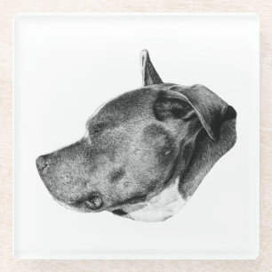 calm watchful gaze glass coaster