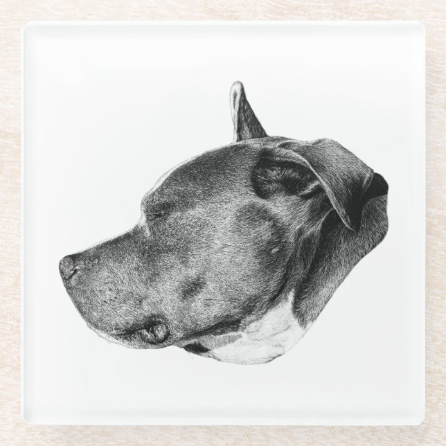 calm watchful gaze glass coaster (Front)