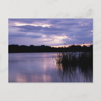 Calm Waters Postcard