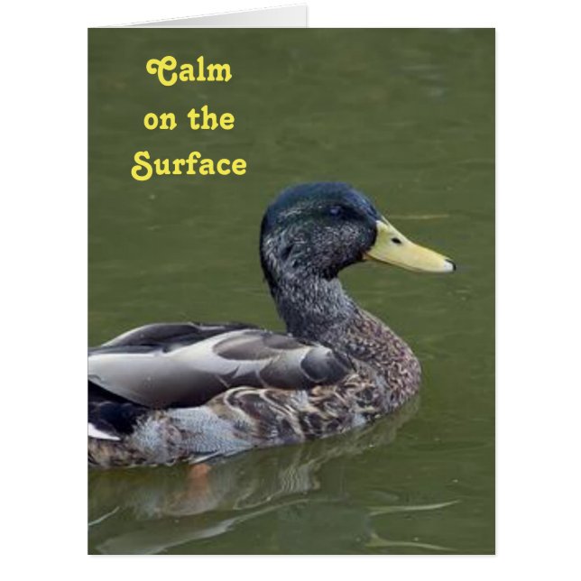 Calm, Yet Crazy Duck (Front)