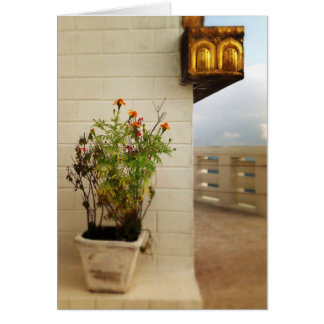 Calme et espace au Népal