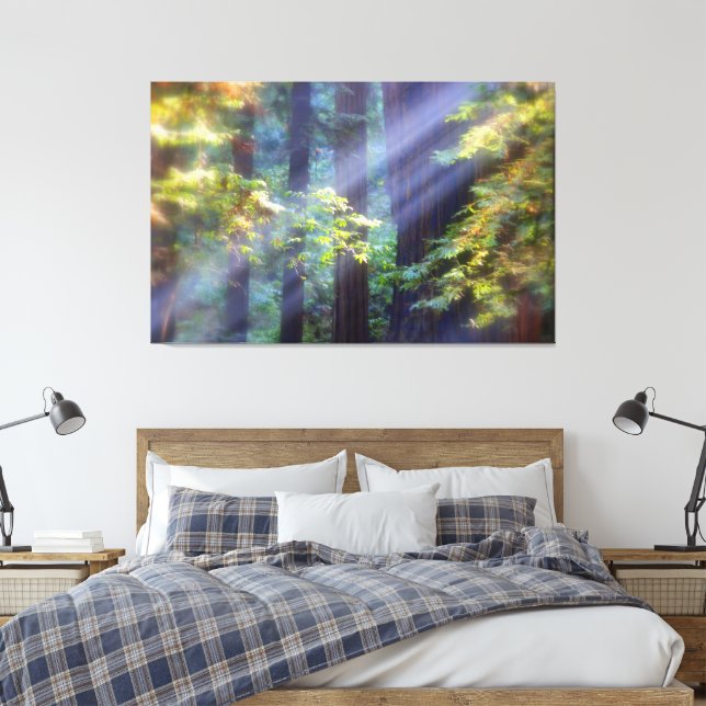 Calming Foggy Forest of Fall Canvas Print (Insitu(Bedroom))