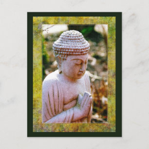 Calming Praying Buddha  Postcard