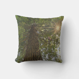 Calming Sequoia With Sunburst Nature Photo Outdoor Pillow
