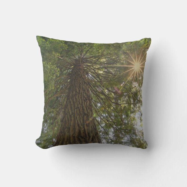 Calming Sequoia With Sunburst Nature Photo Outdoor Pillow (Front)