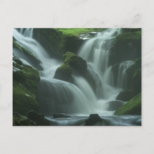 Calming Waterfall Postcard