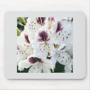 Calsap Rhododendrons Mouse Pad