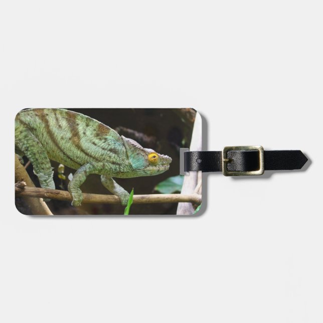 Calumma Parsonii Luggage Tag (Front Horizontal)